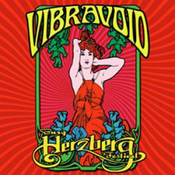 Vibravoid : Burg Herzberg Festival (Live 2011)